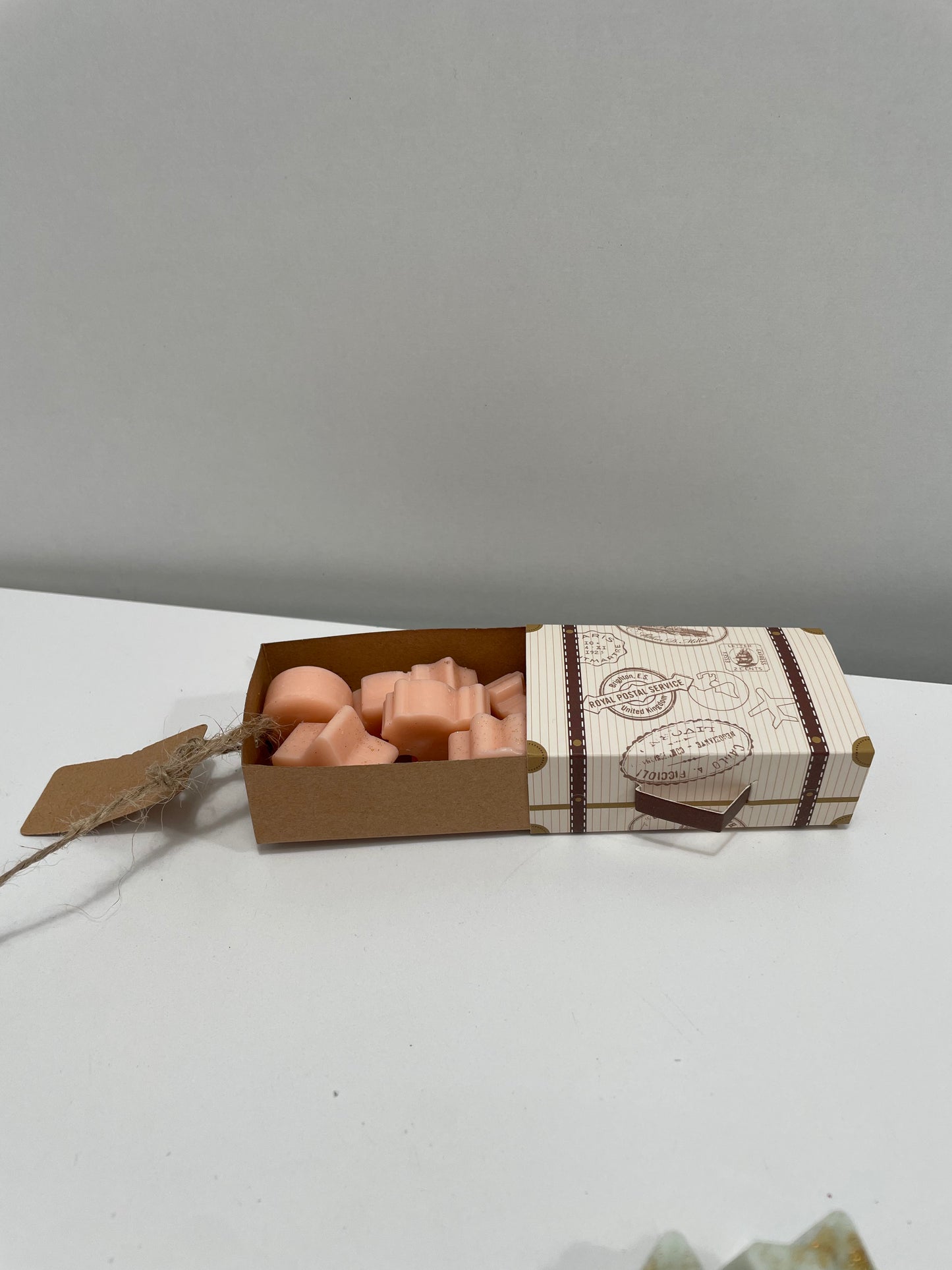 Wax Melts "travel edition"