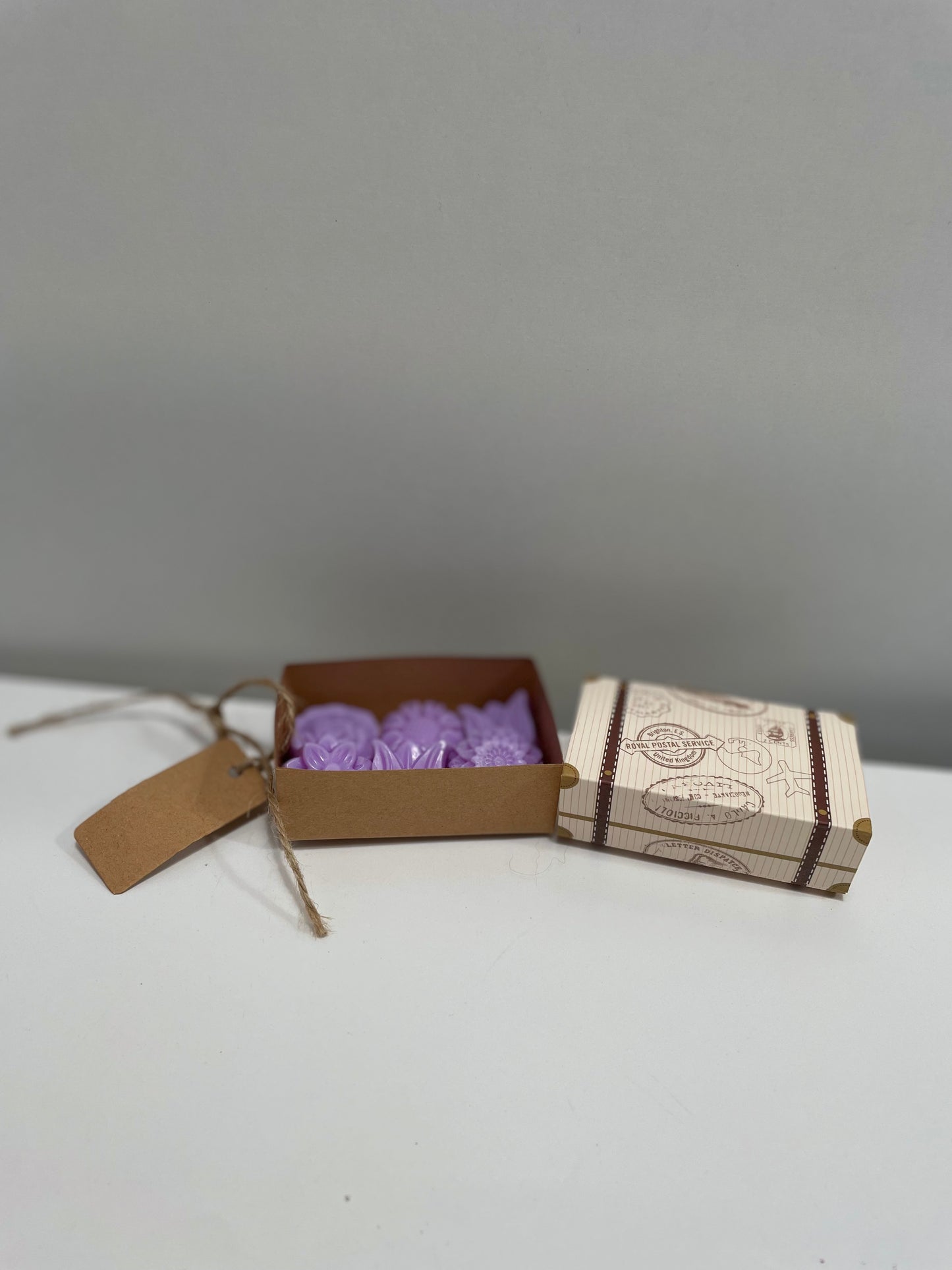 Wax Melts "travel edition"